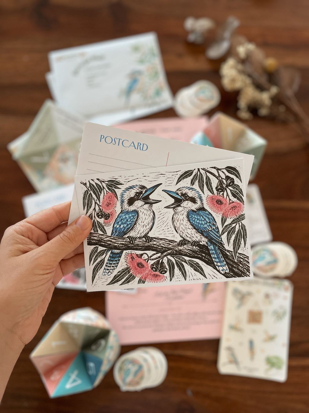 Past Adventures - August - Blue Winged Kookaburra