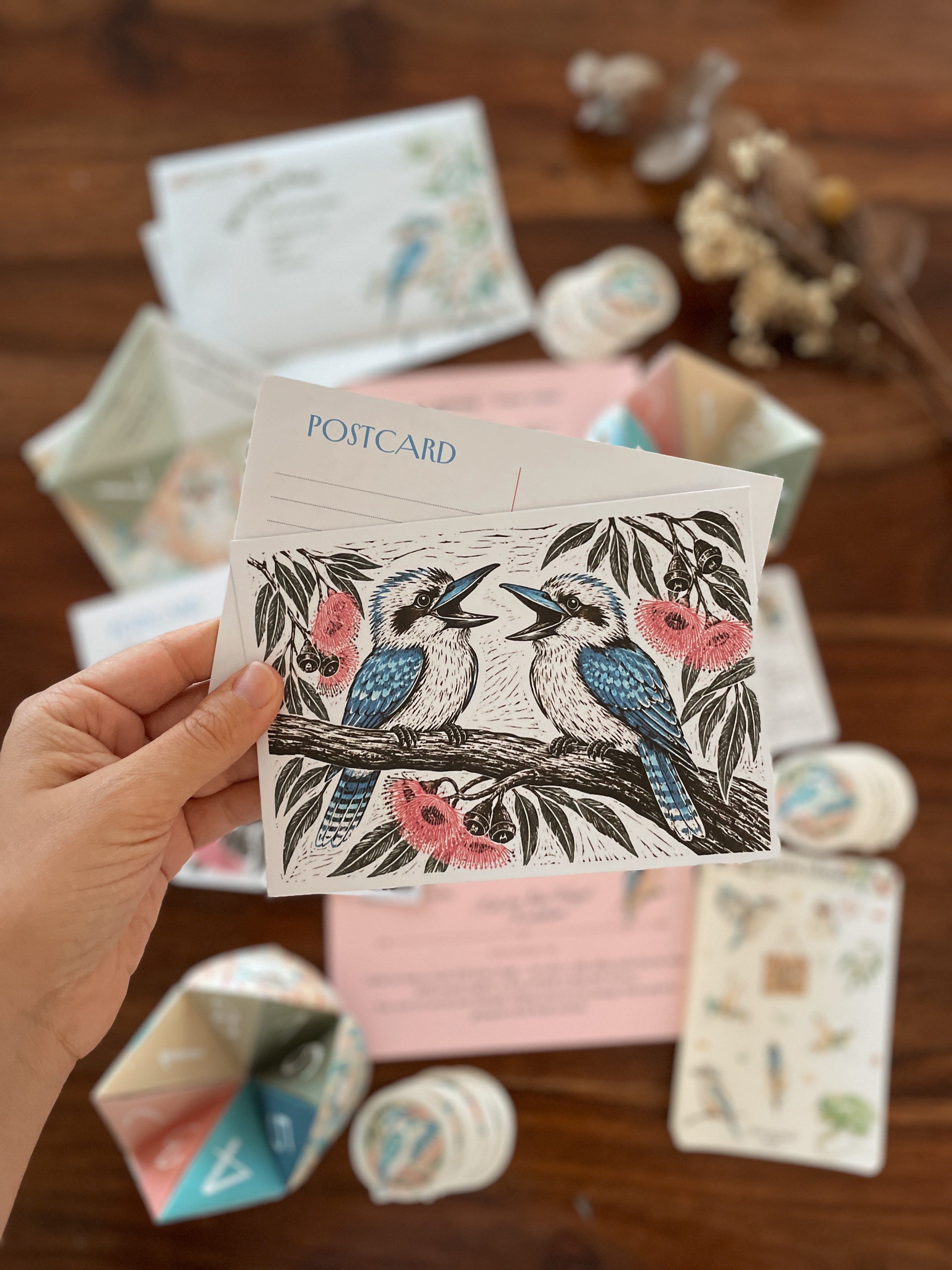 Past Adventures - August - Blue Winged Kookaburra