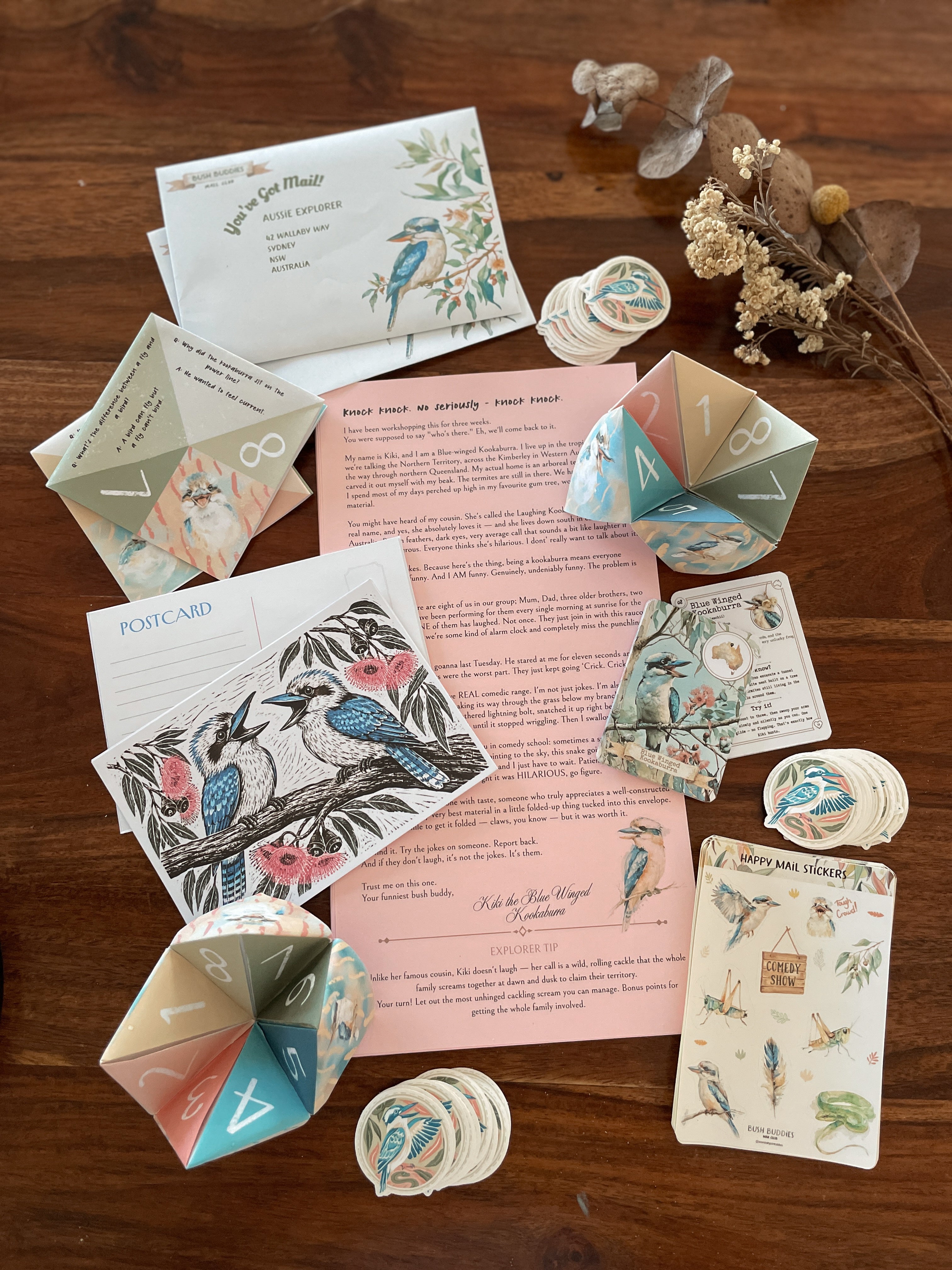 Past Adventures - August - Blue Winged Kookaburra