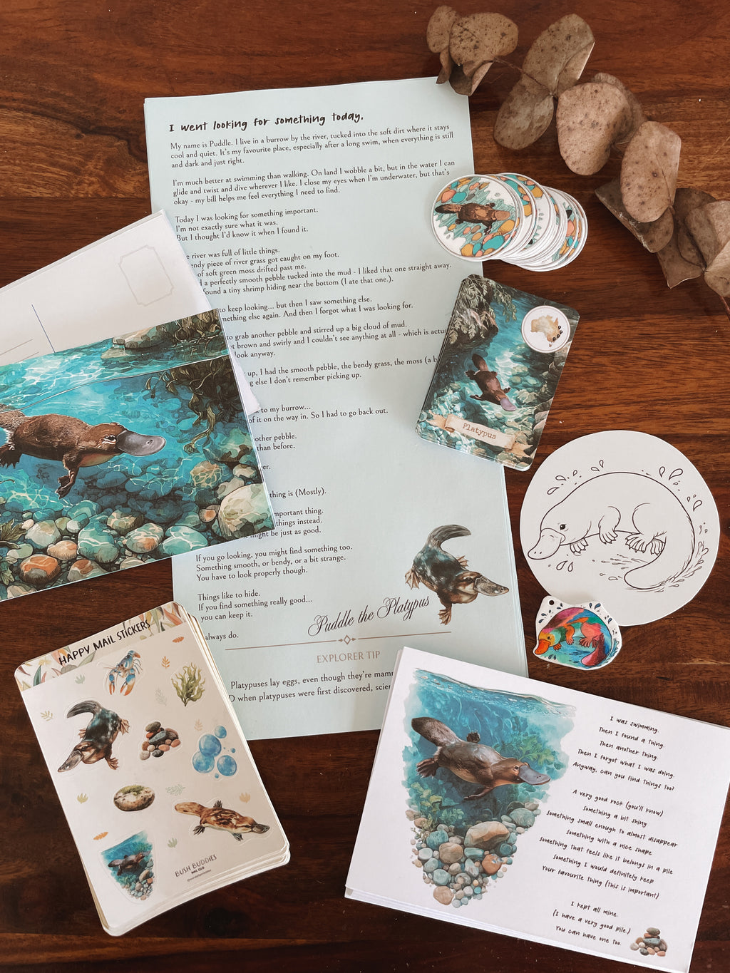 Bush Buddies Mail Club
