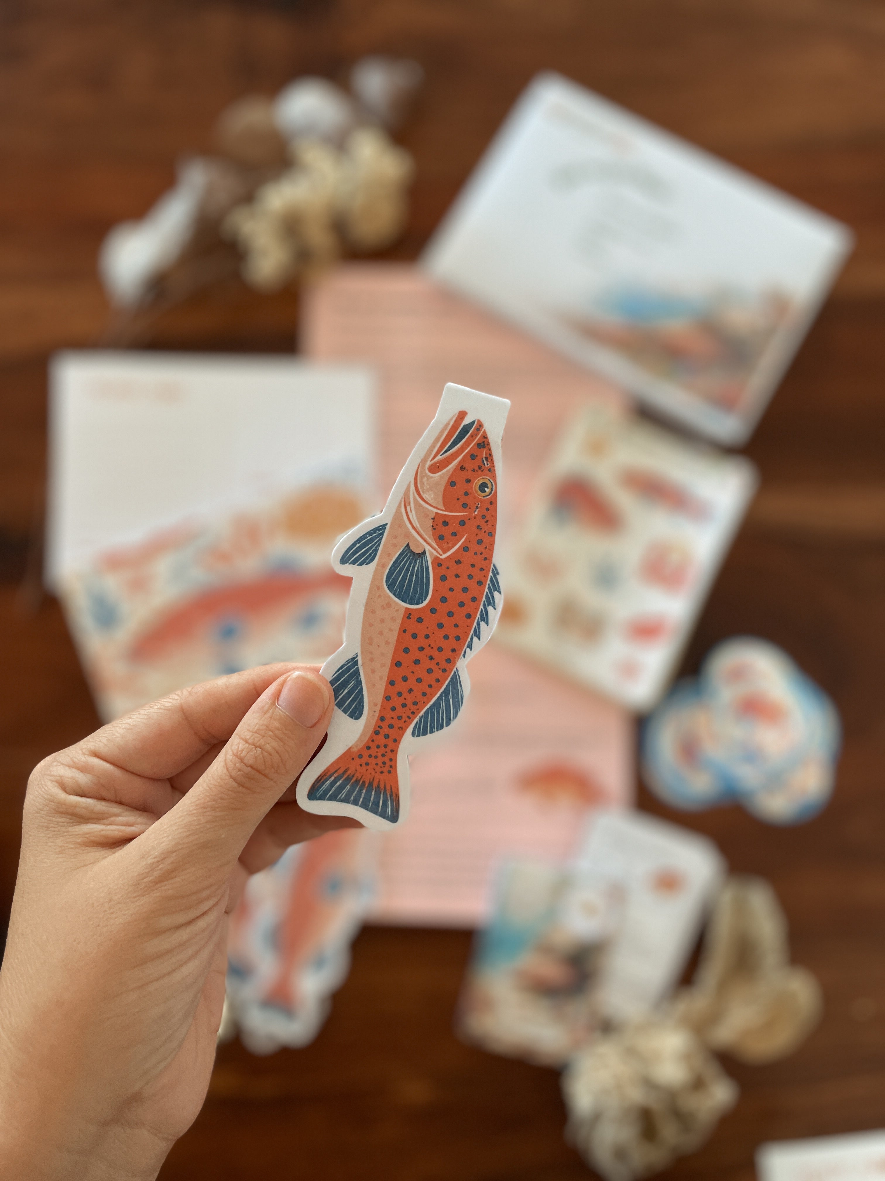 Past Adventures - Bazza the Coral Trout