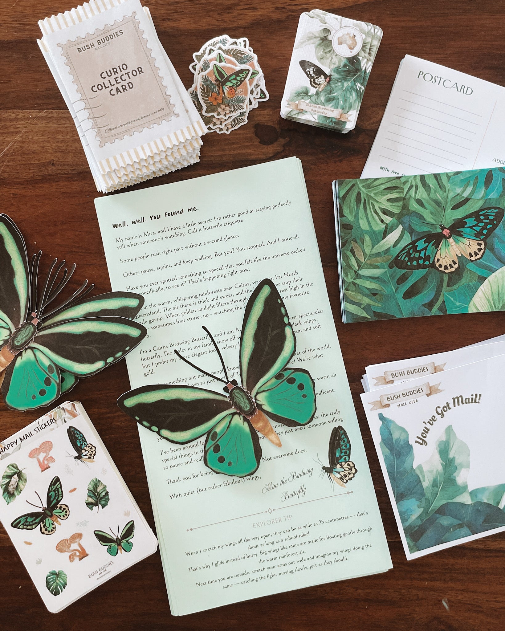 Past Adventure - March - Mira the Birdwing Butterfly