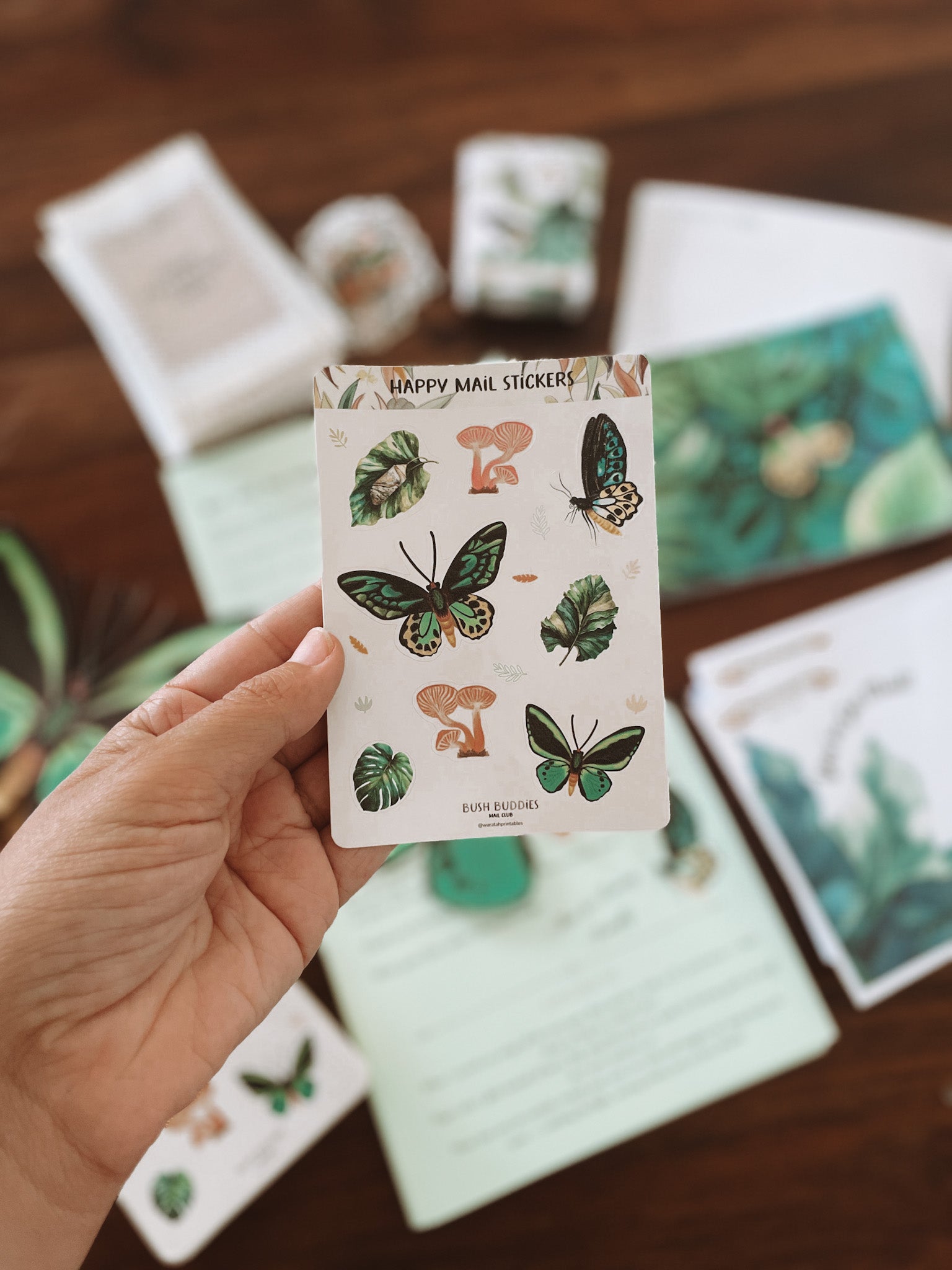 Past Adventure - March - Mira the Birdwing Butterfly