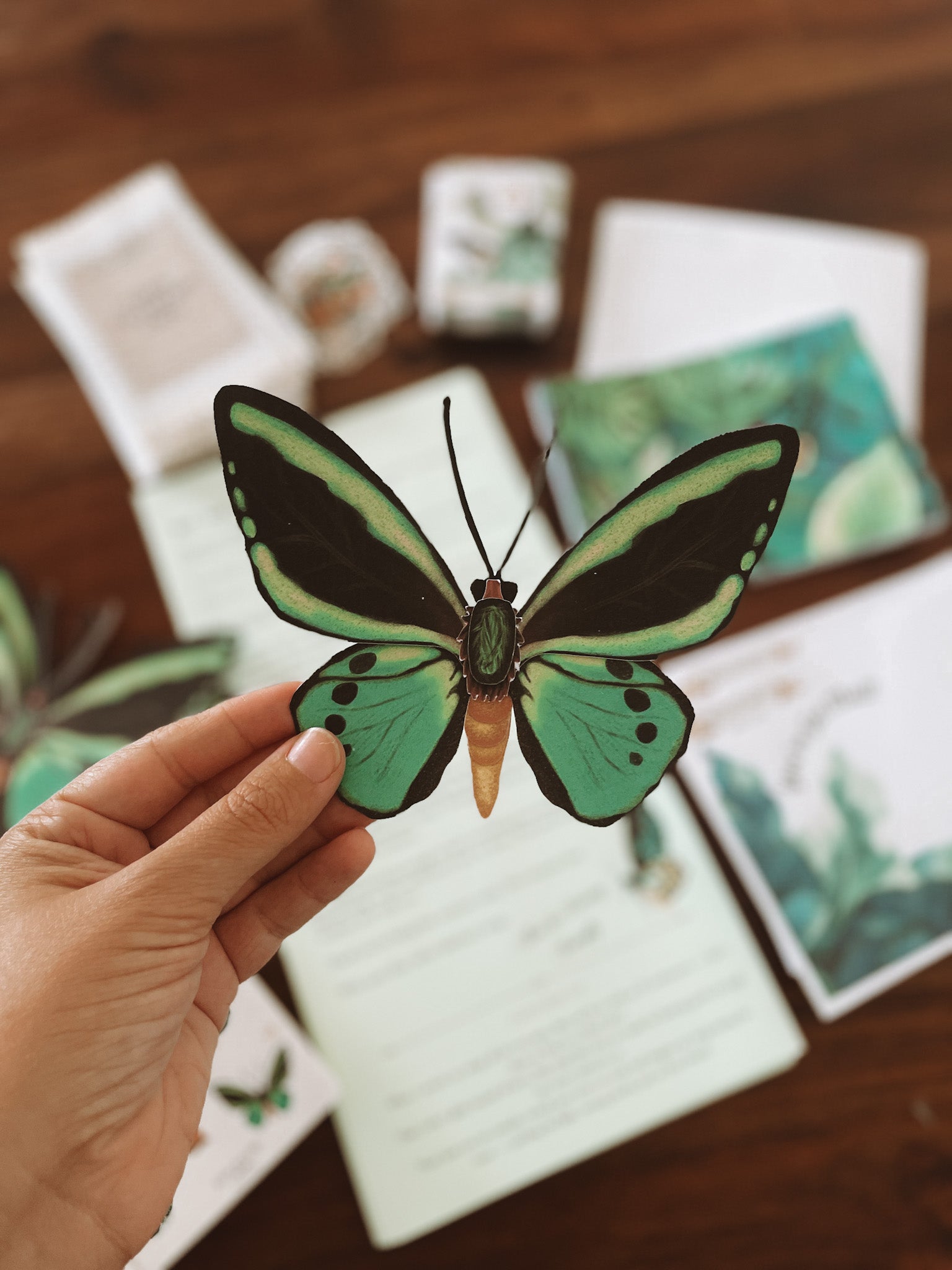Past Adventure - March - Mira the Birdwing Butterfly