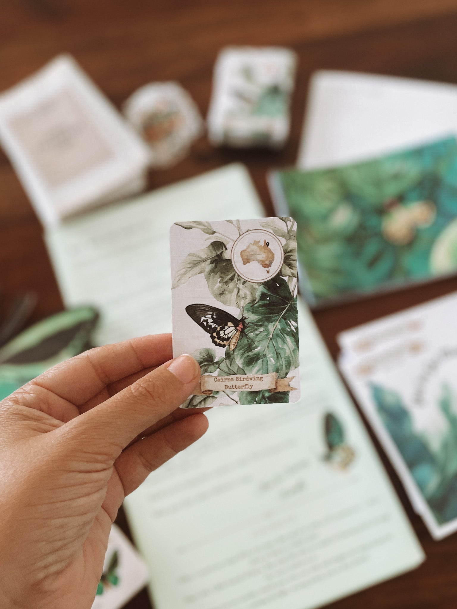 Past Adventure - March - Mira the Birdwing Butterfly