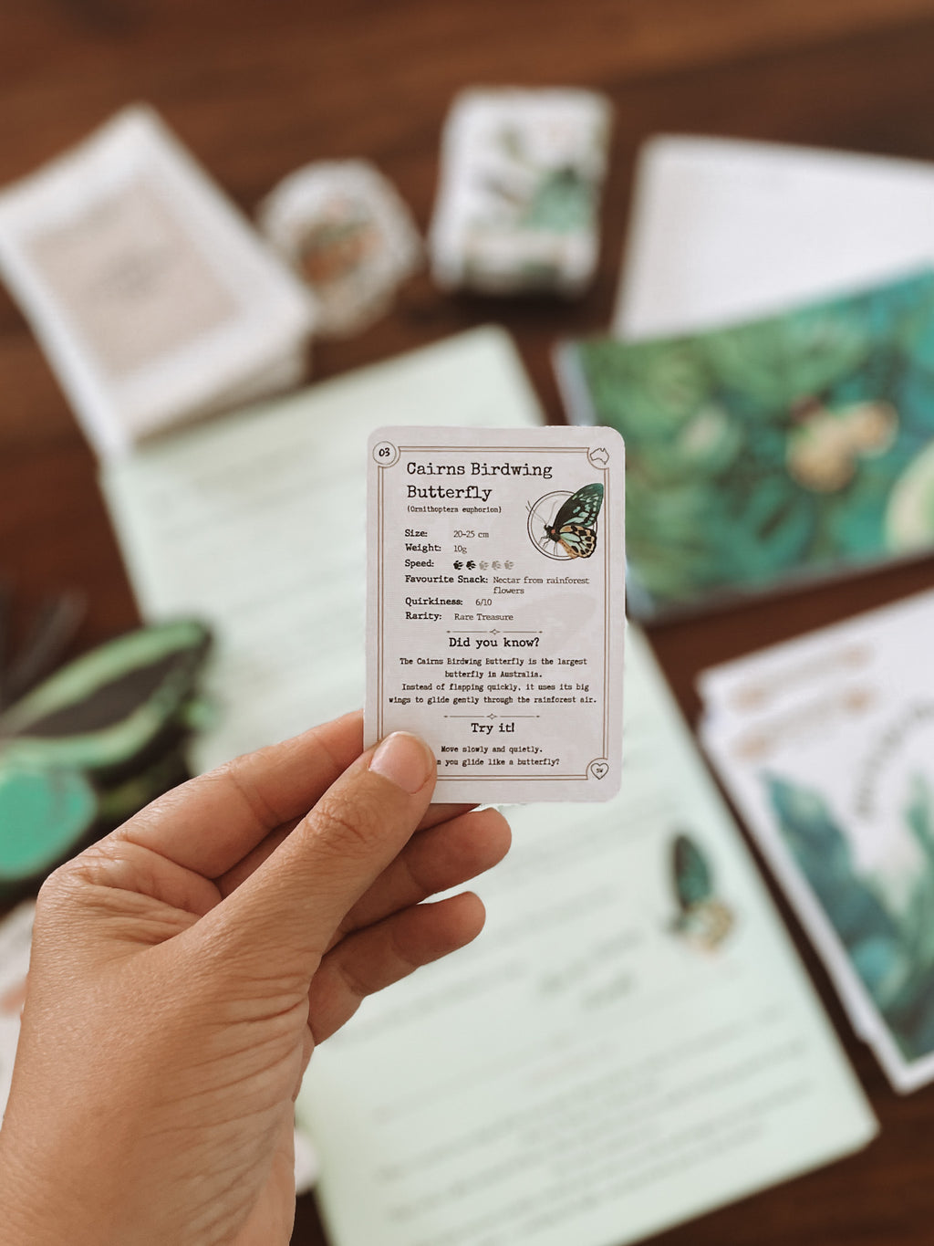 Past Adventure - March - Mira the Birdwing Butterfly