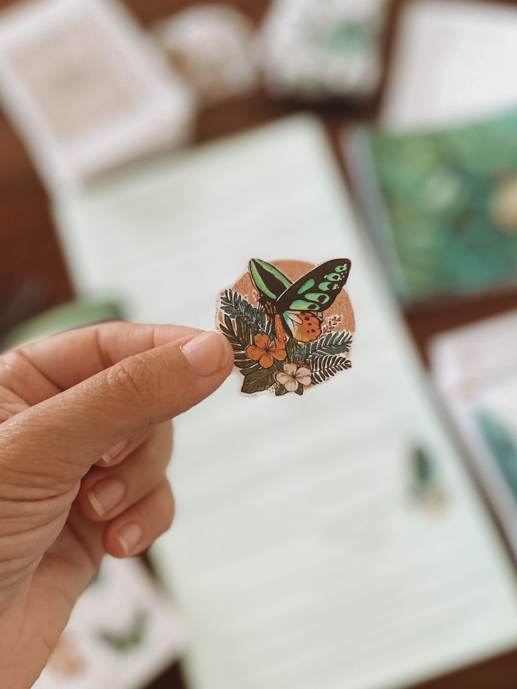 Past Adventure - March - Mira the Birdwing Butterfly