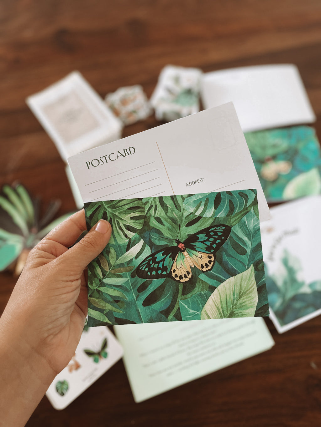 Past Adventure - March - Mira the Birdwing Butterfly