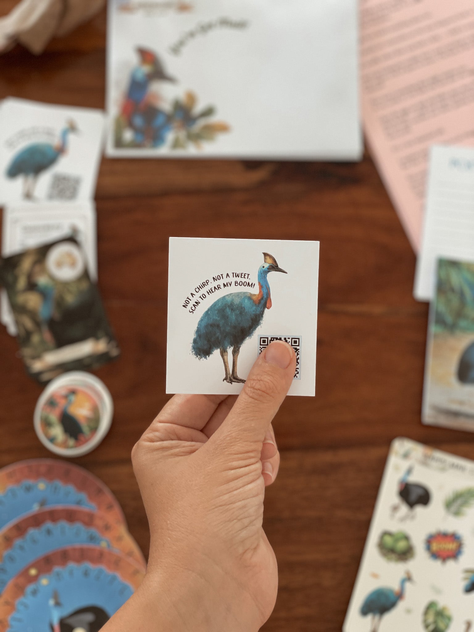 Past Adventures - May - Cora the Cassowary
